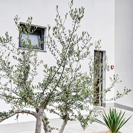 Apartment Luxury Nina With Sea View *